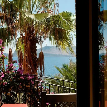 Hotel Tamara