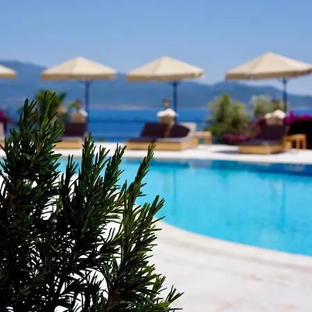 מלון Tamara קס